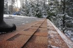 DSC00298.JPG
