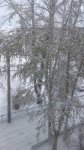 20161023_085547.jpg