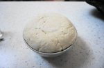 DSC00439.JPG