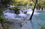 DSC_1275.JPG