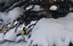 DSC00608.JPG
