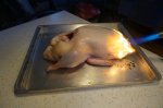 DSC00853.JPG
