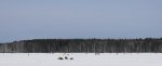 DSC02072.JPG