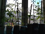 IMG_20170419_092643.jpg