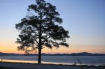 DSC02200.JPG