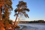 DSC02234.JPG