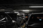 DSC02873.JPG