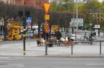 DSC02911.JPG