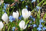 DSC02679.JPG