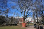 DSC02682.JPG