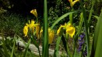 IMG_20170710_123427.jpg
