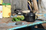 DSC03552.JPG