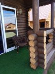 IMG_20170714_114350.jpg