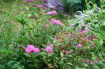 DSC03600.JPG