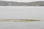 DSC03602.JPG
