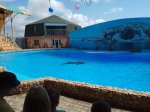 IMG_20170729_125629.jpg