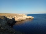 IMG_20170731_205234.jpg