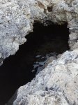 IMG_20170731_215610.jpg