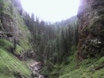 IMG_20170810_133129.jpg