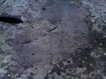 IMG_20170811_154417.jpg