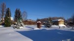 P1142330.jpg