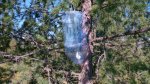 IMG_20170811_061629.jpg