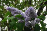 DSC05578.JPG