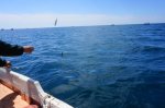 DSC05966.JPG