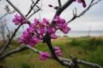 DSC05587.JPG