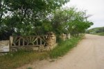 DSC05604.JPG
