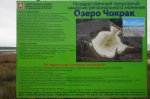 DSC05596.JPG