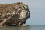 DSC06057.JPG