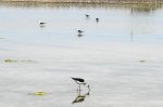 DSC06145.JPG