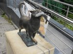 DSC05901.JPG