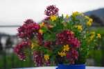 DSC05879.JPG