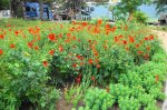 DSC05812.JPG
