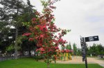 DSC05822.JPG