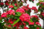 DSC05823.JPG
