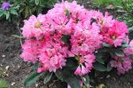DSC05846.JPG