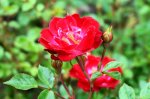 DSC05847.JPG