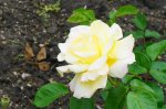 DSC05848.JPG