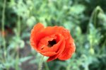 DSC05854.JPG