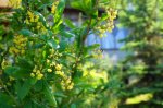 DSC06285.JPG