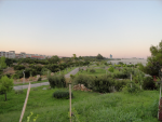 Снимок экрана 2015-08-10 в 10.15.43.png
