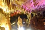 DSC_0992.JPG