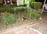 Снимок экрана 2015-08-10 в 21.24.49.png