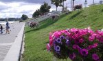 20150817_142601.jpg
