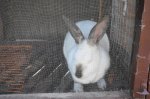 DSC06455.JPG