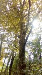 IMG_20180915_141918.jpg