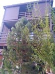 IMG_20180825_195424.jpg